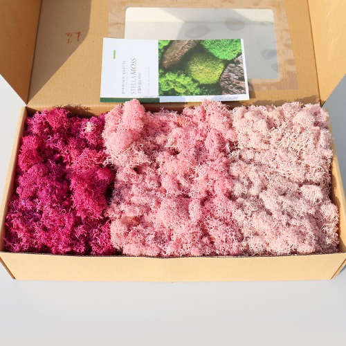 노리프렌즈 만들기재료 - 천연 모스이끼 3색세트 약500g 핑크빛사랑 장식 공예재료